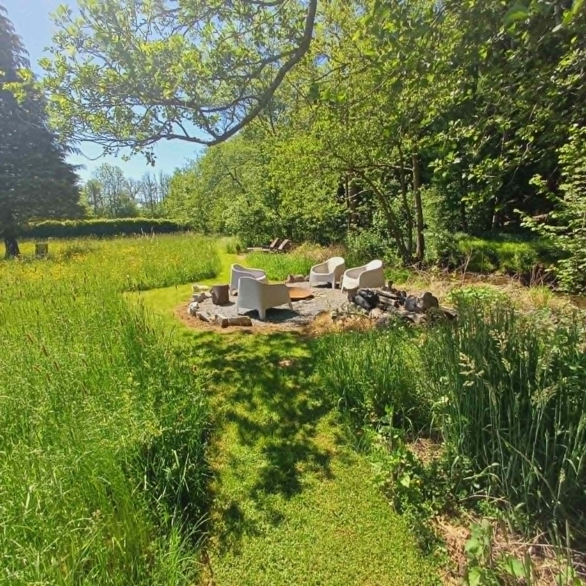 Groene tuin met grasveld, bomen en een kleine vuurplaats met stenen en stoelen in de zon.